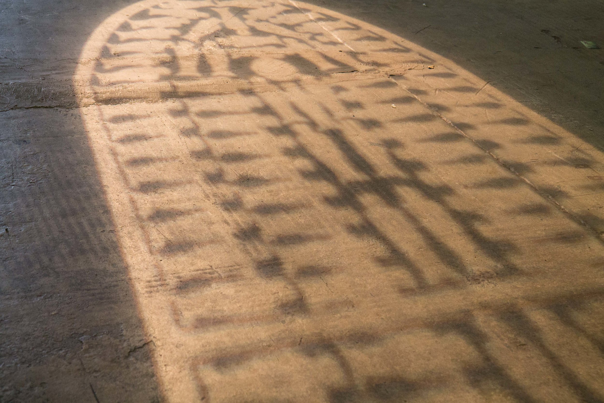 Photo Credit Lauren Lightbody_-217.jpg