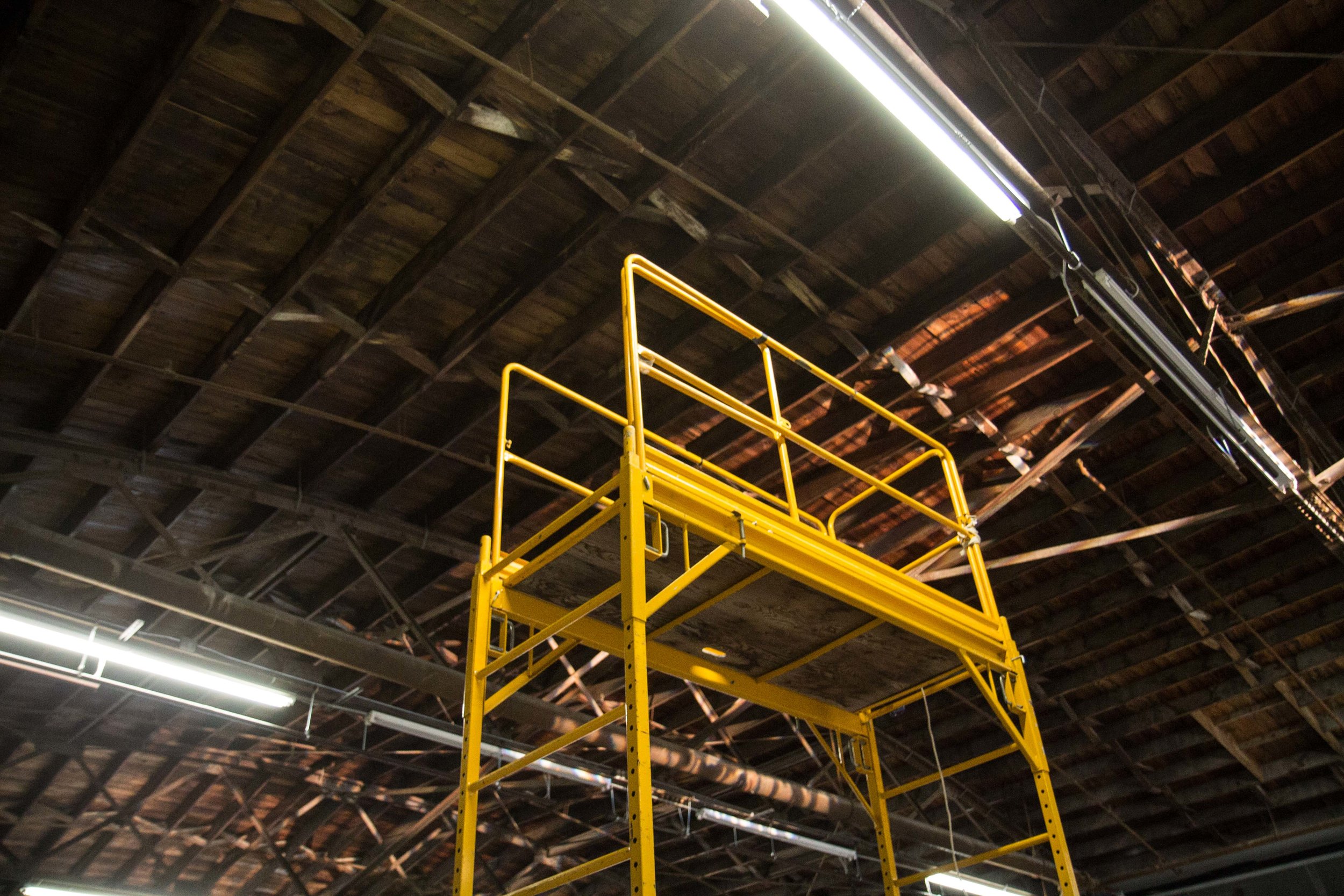 Photo Credit Lauren Lightbody_-220.jpg