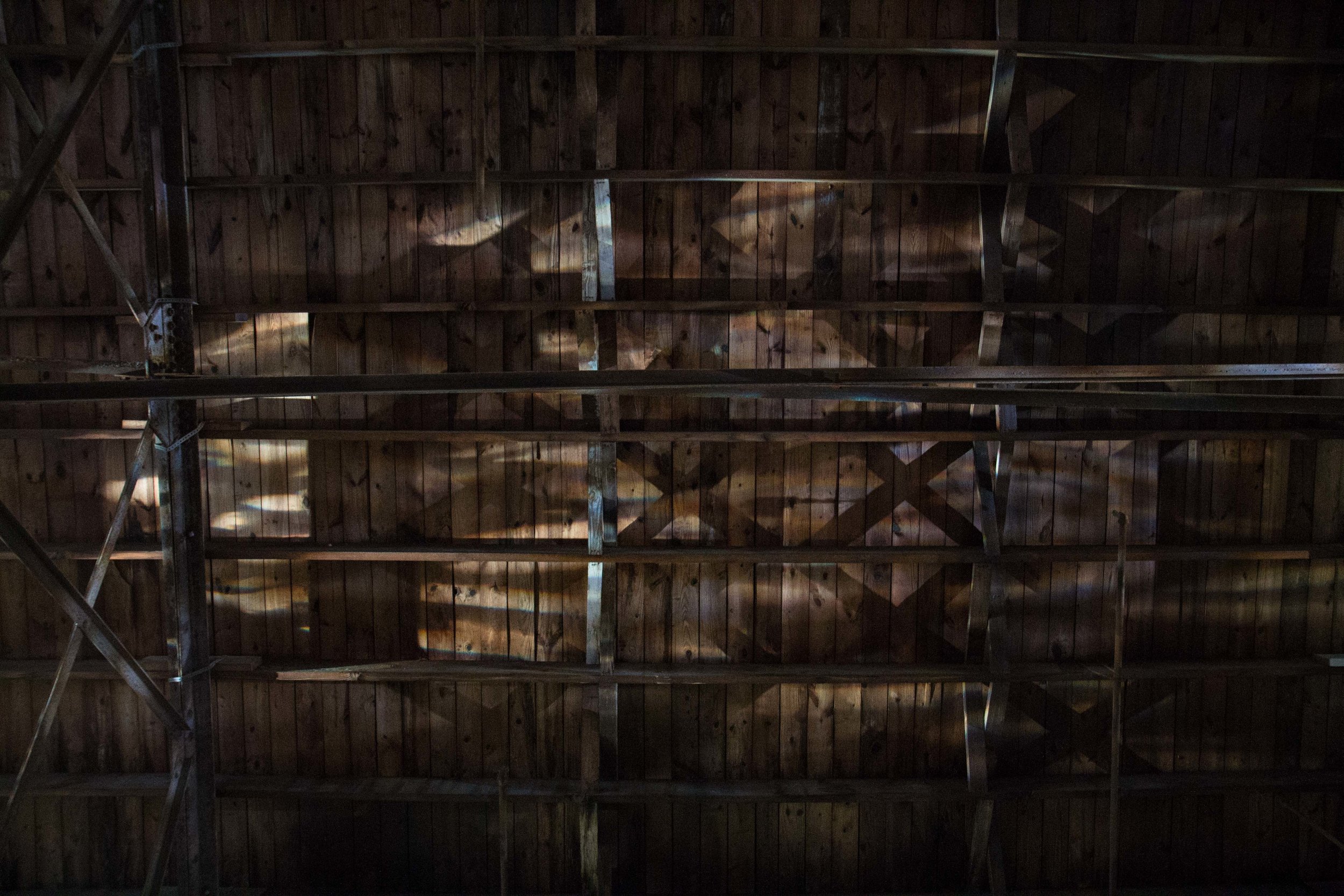 Photo Credit Lauren Lightbody_-229.jpg