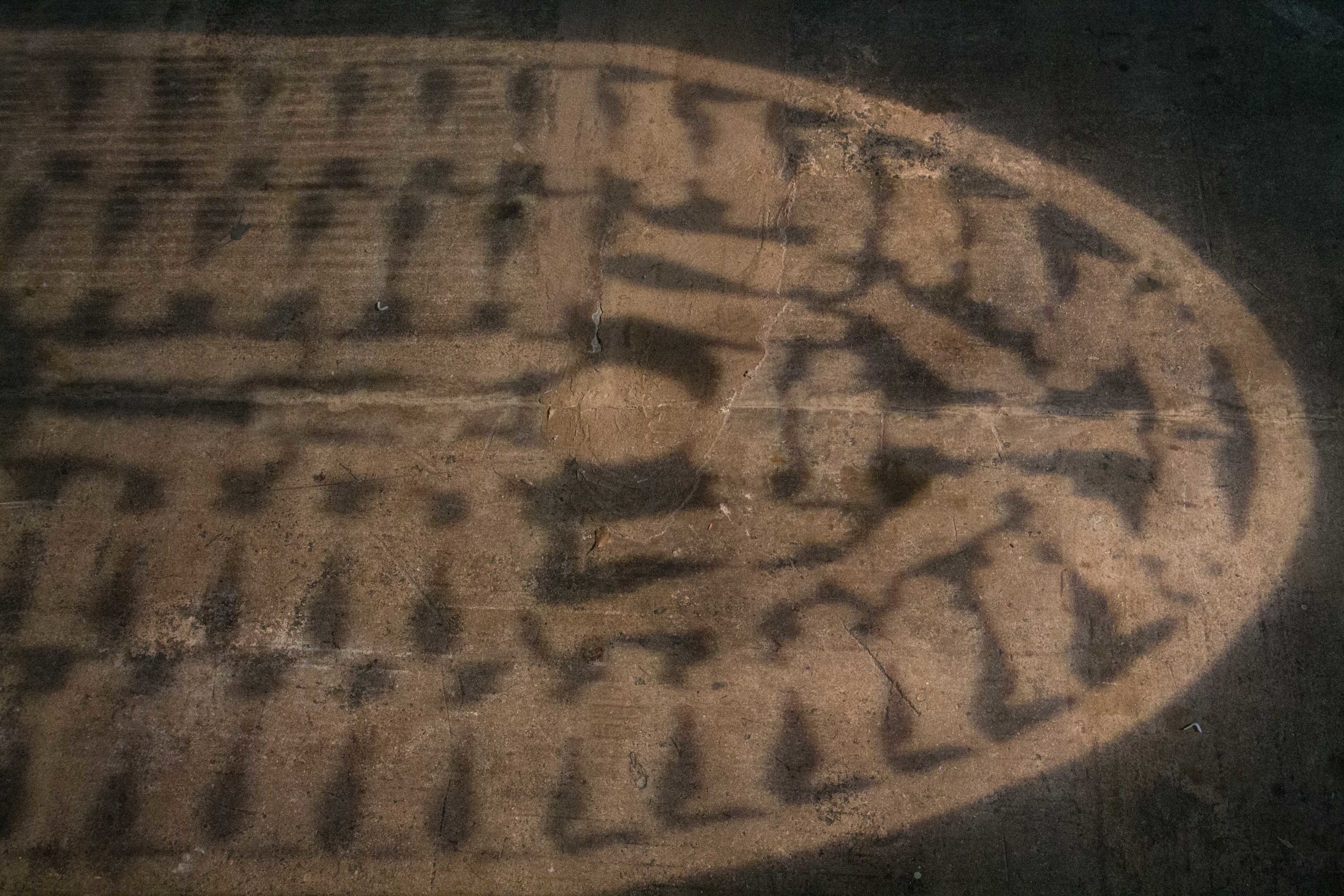 Photo Credit Lauren Lightbody_-237.jpg