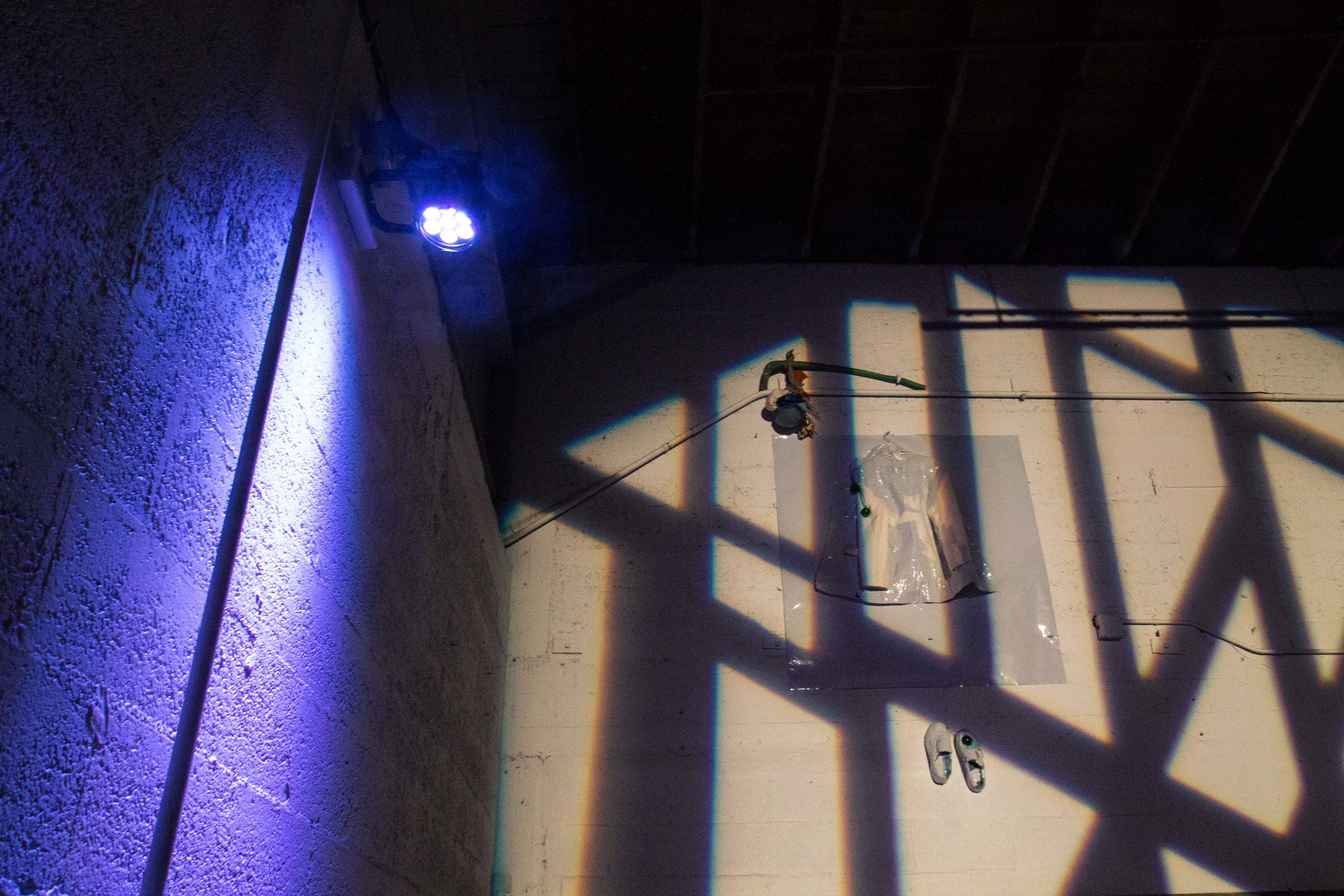 Photo Credit Lauren Lightbody_-292.jpg