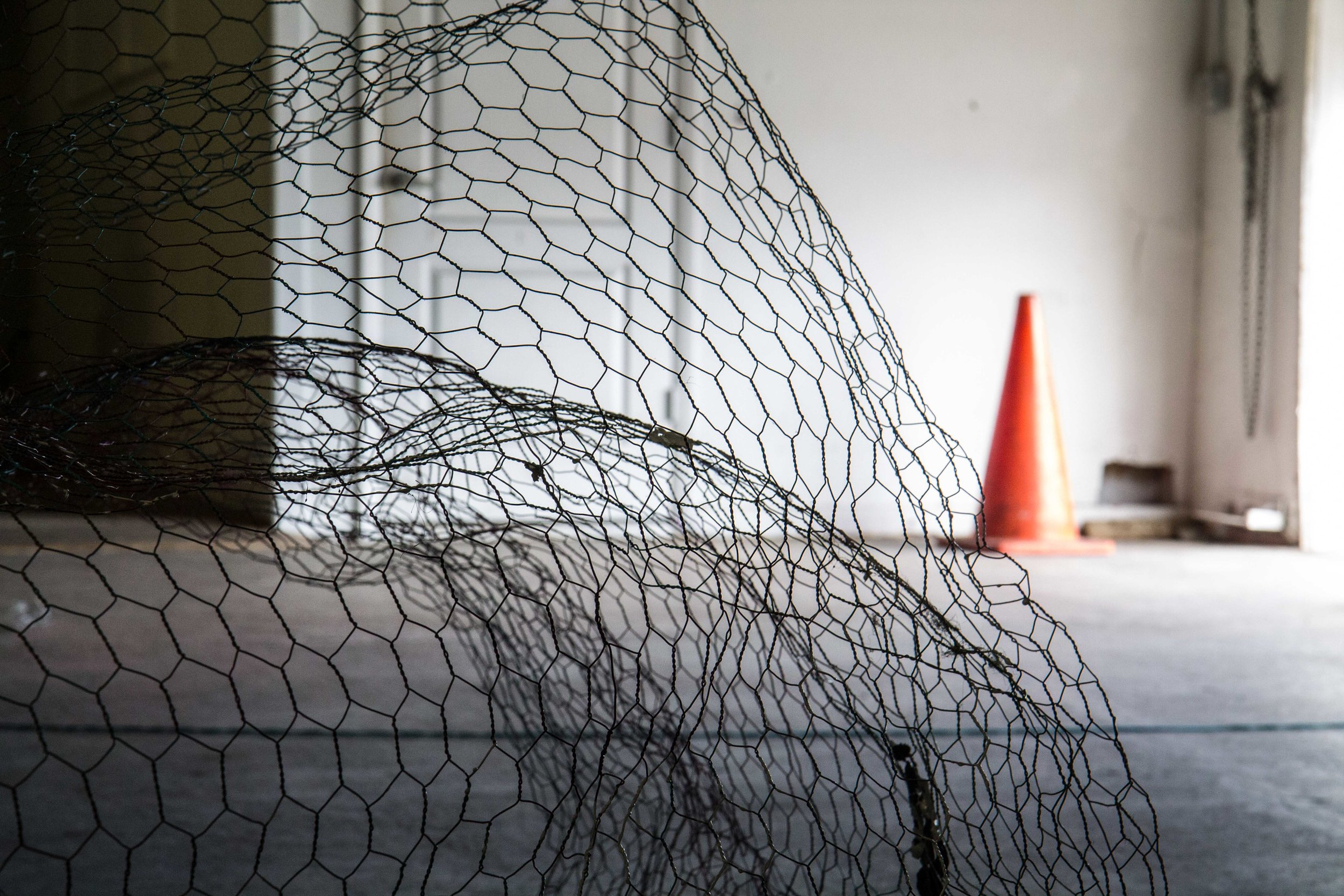 Photo Credit Lauren Lightbody_-378.jpg