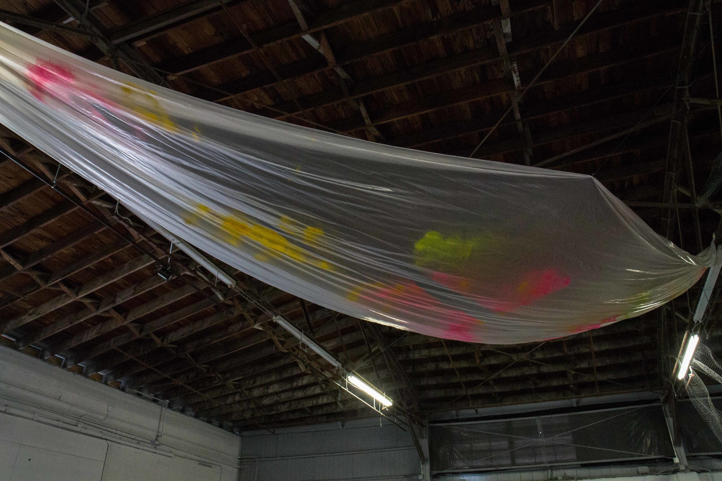 Photo Credit Lauren Lightbody_-395.jpg