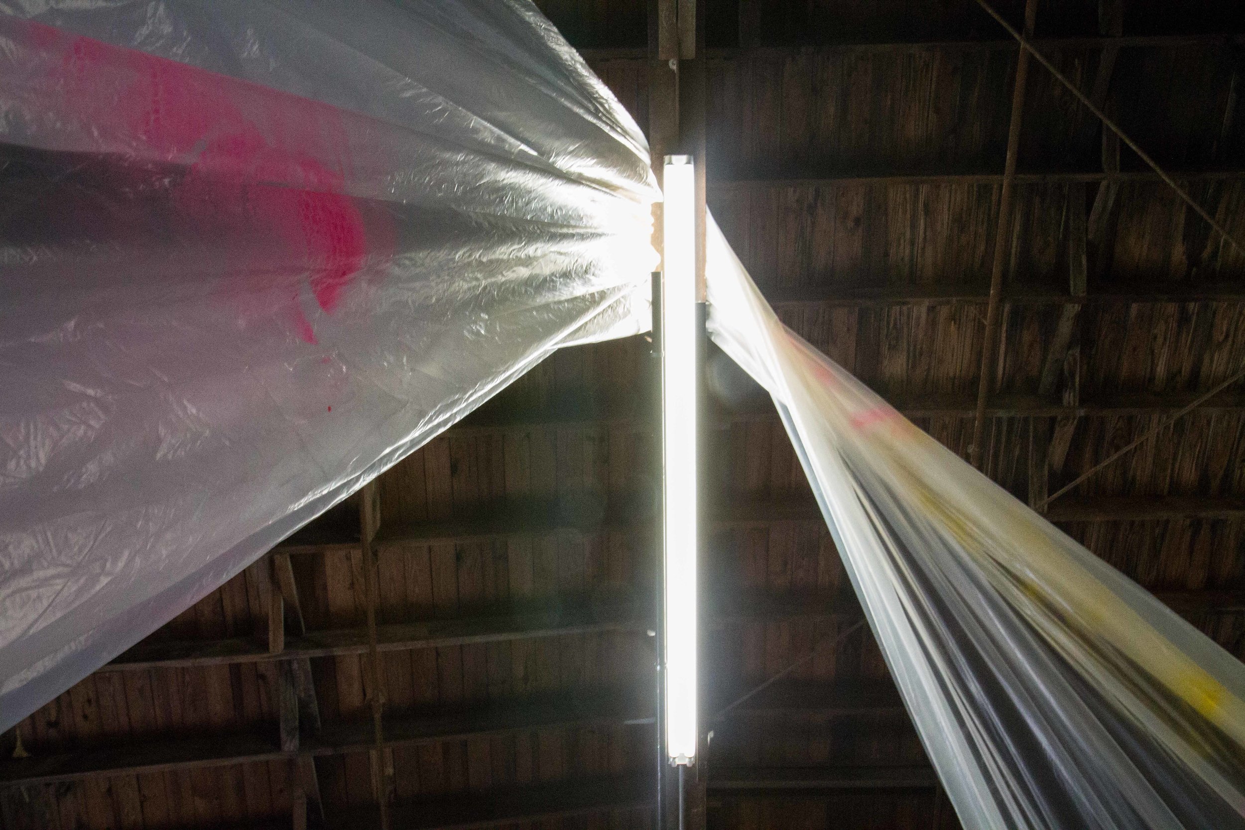 Photo Credit Lauren Lightbody_-393.jpg