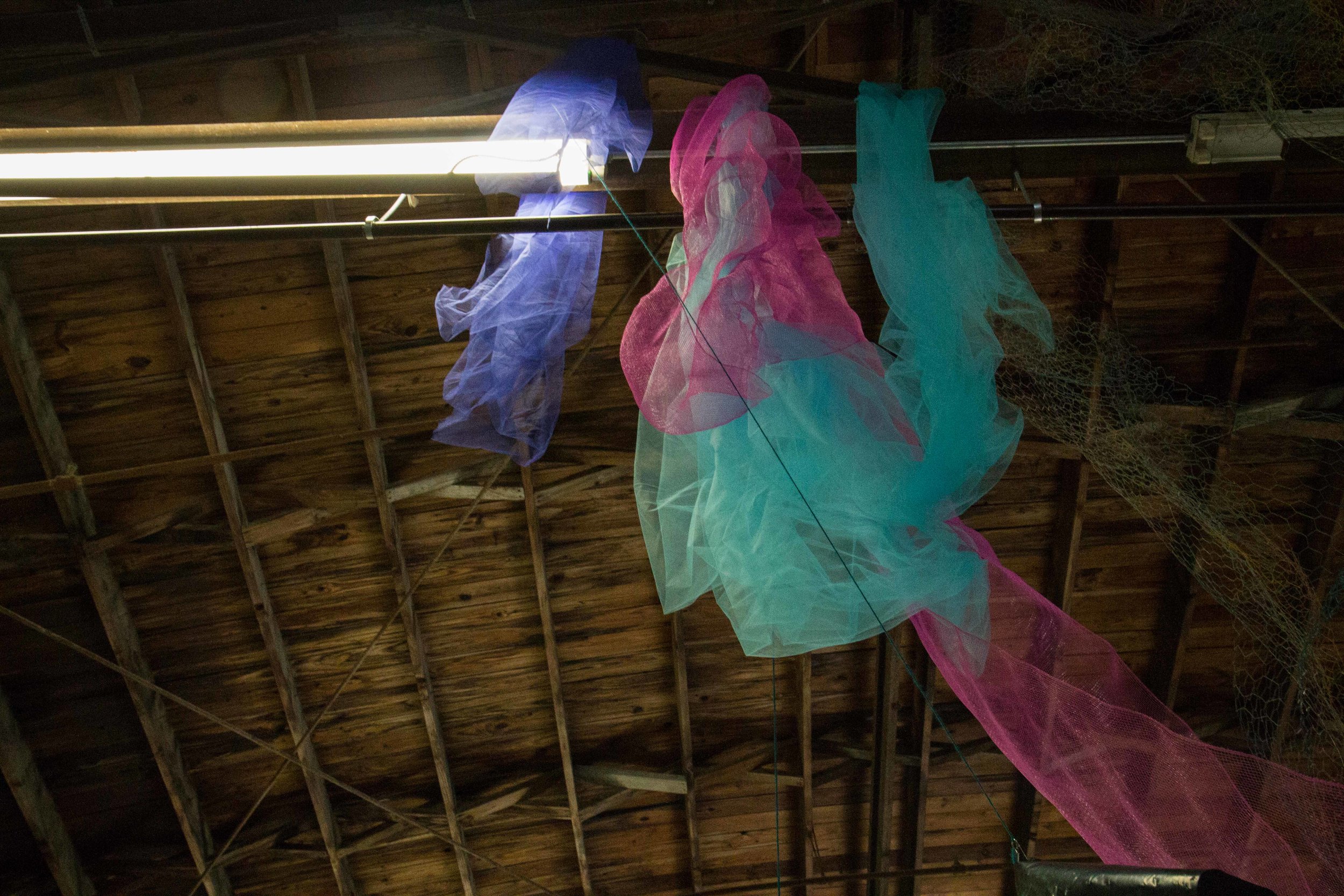 Photo Credit Lauren Lightbody_-404.jpg