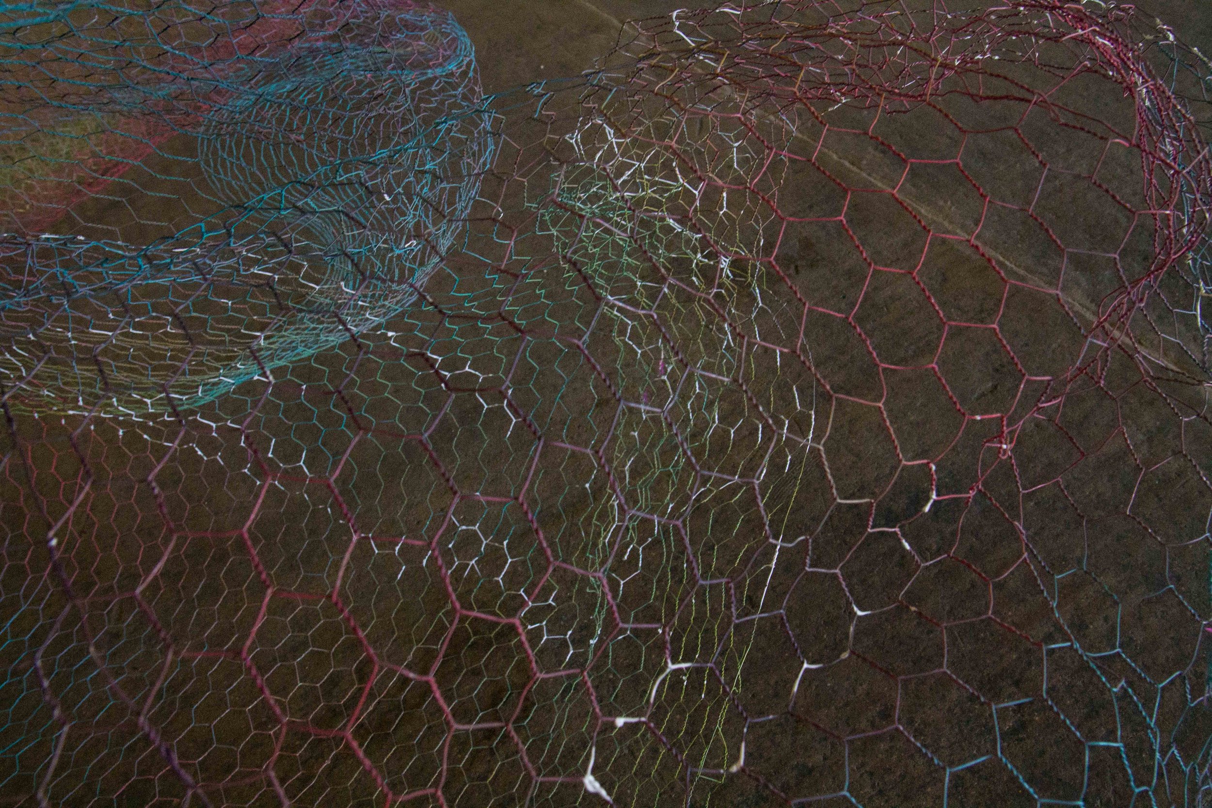 Photo Credit Lauren Lightbody_-377.jpg