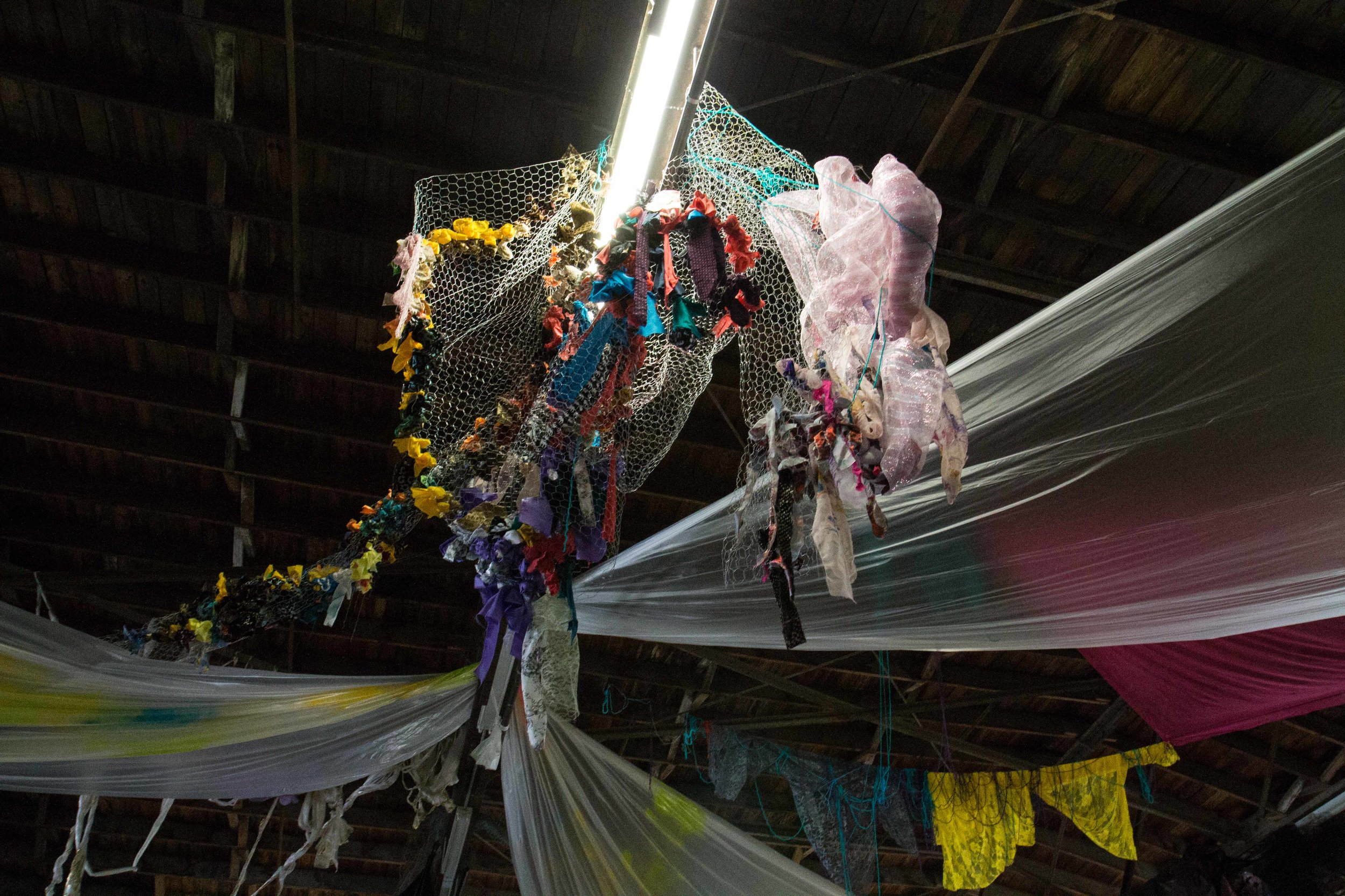 Photo Credit Lauren Lightbody_-466.jpg