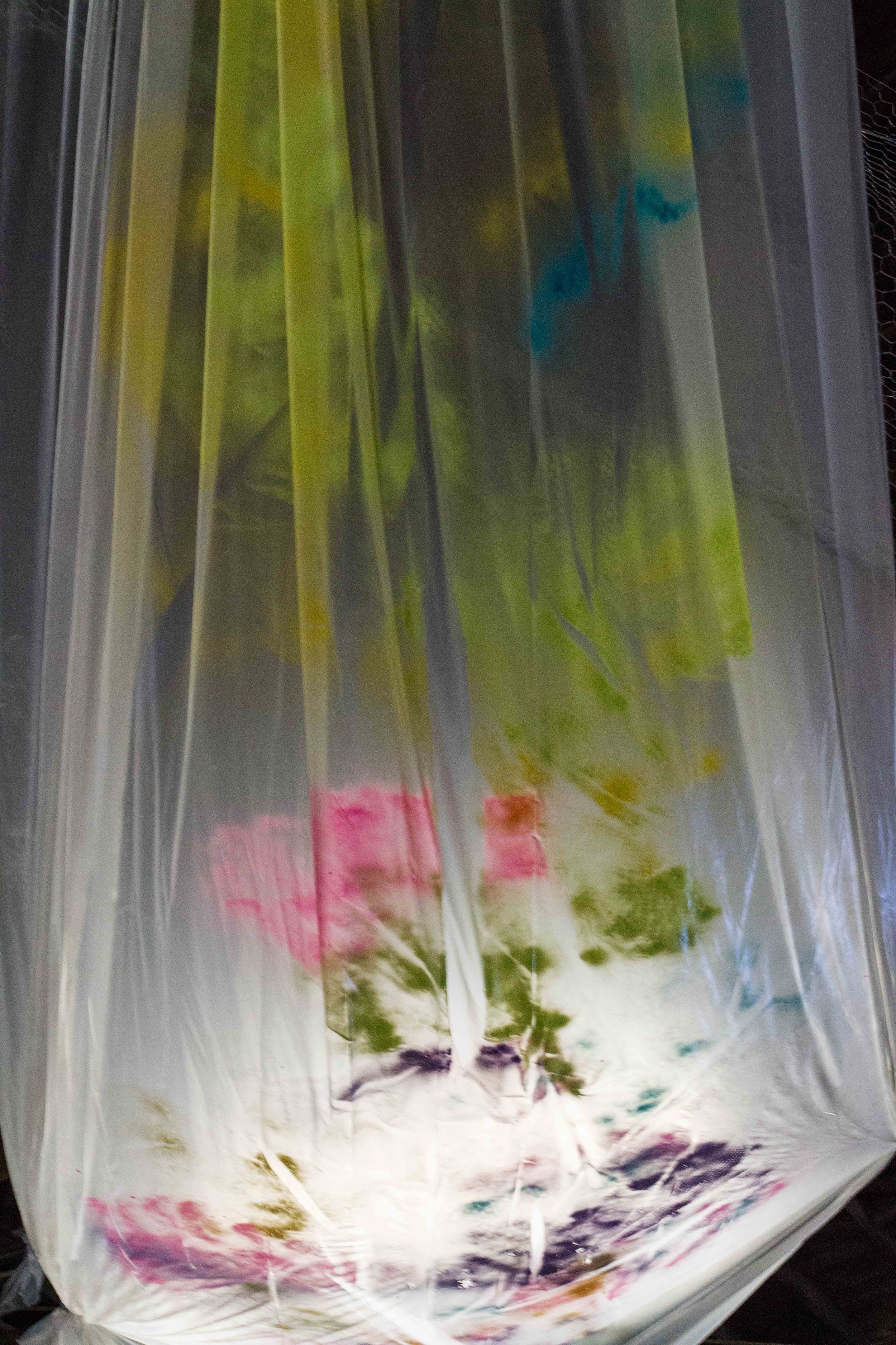 Photo Credit Lauren Lightbody_-459.jpg