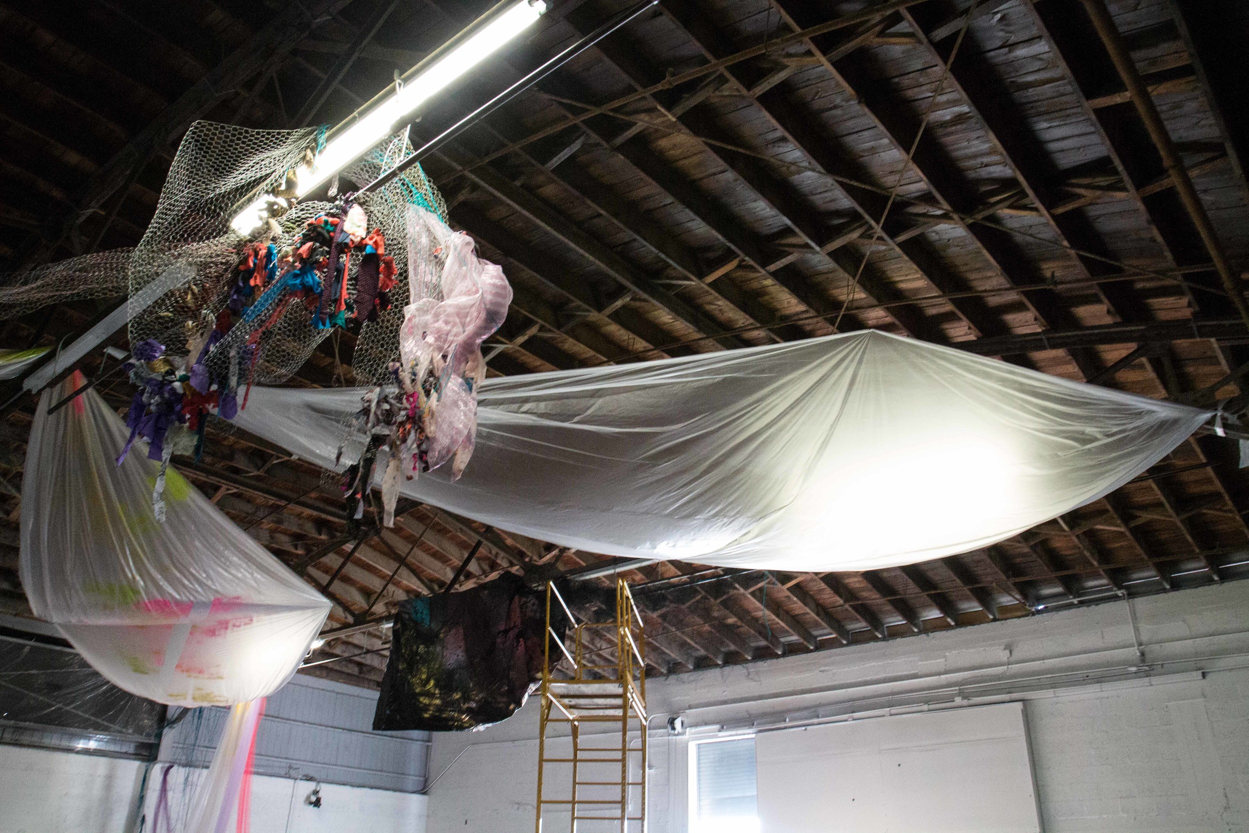 Photo Credit Lauren Lightbody_-457.jpg