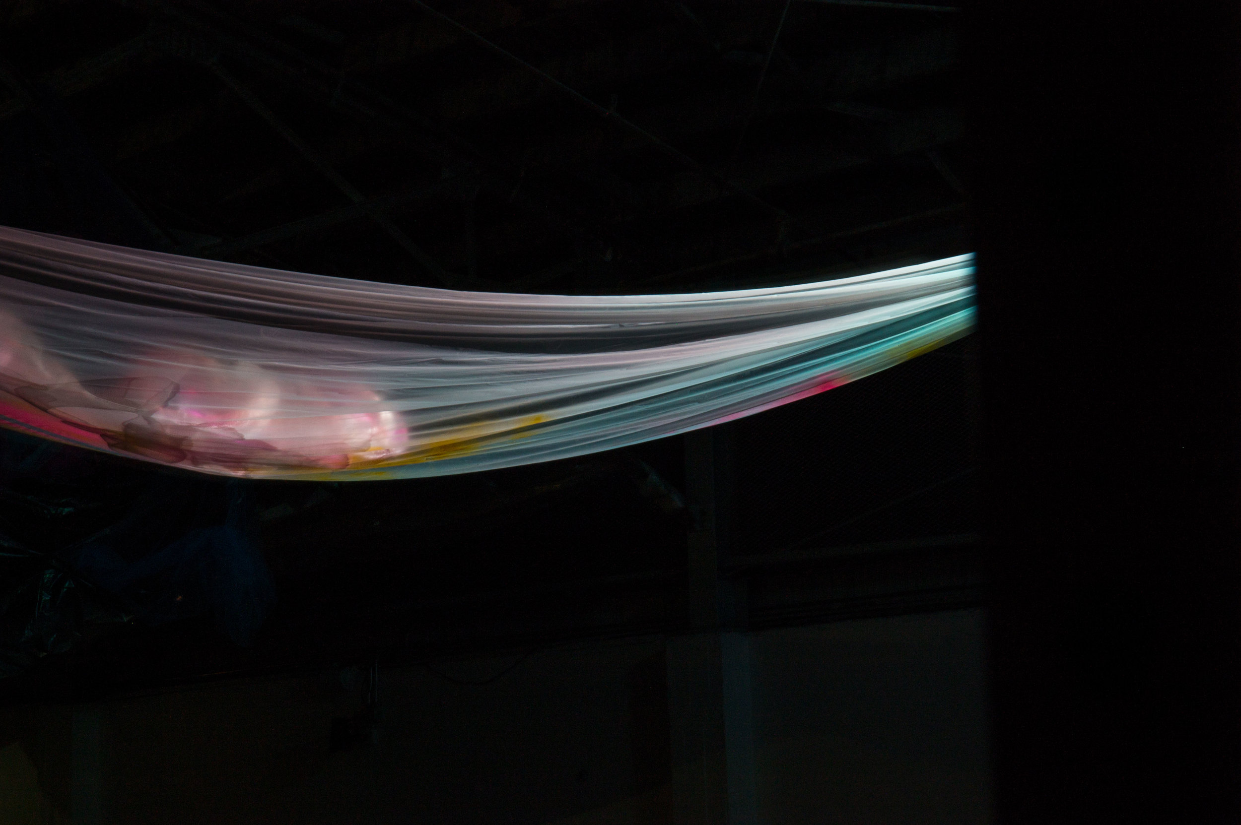 Photo Credit Lauren Lightbody_-486.jpg