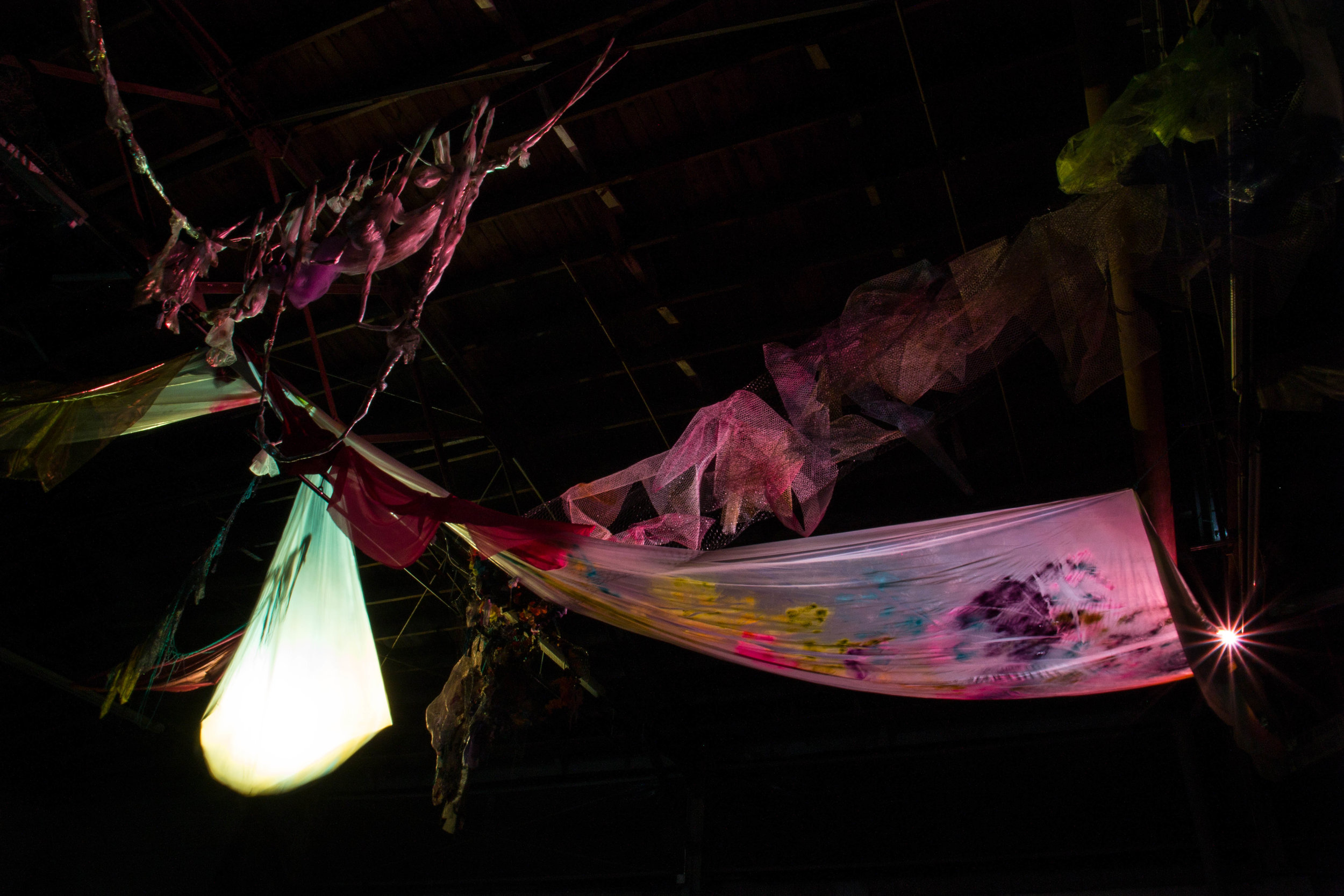 Photo Credit Lauren Lightbody_-490.jpg