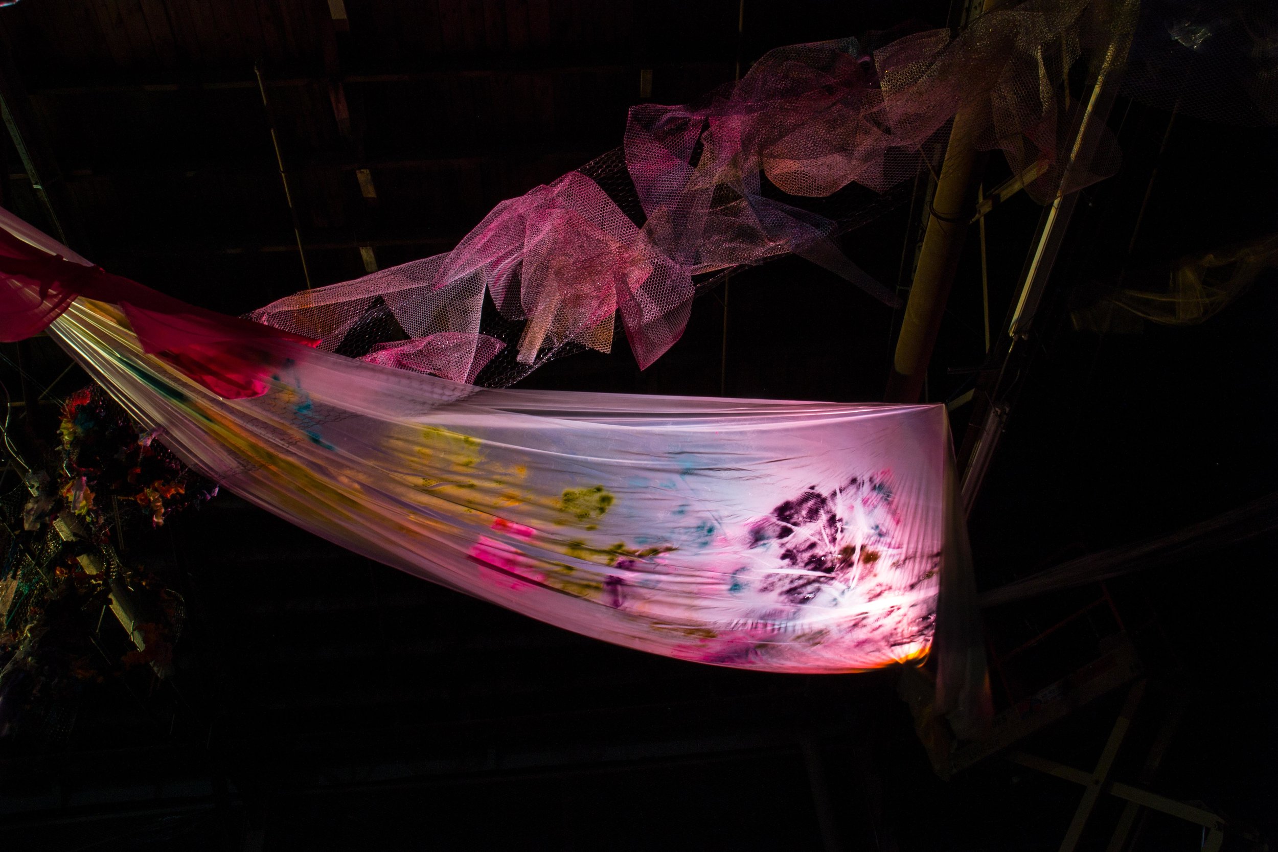 Photo Credit Lauren Lightbody_-489.jpg