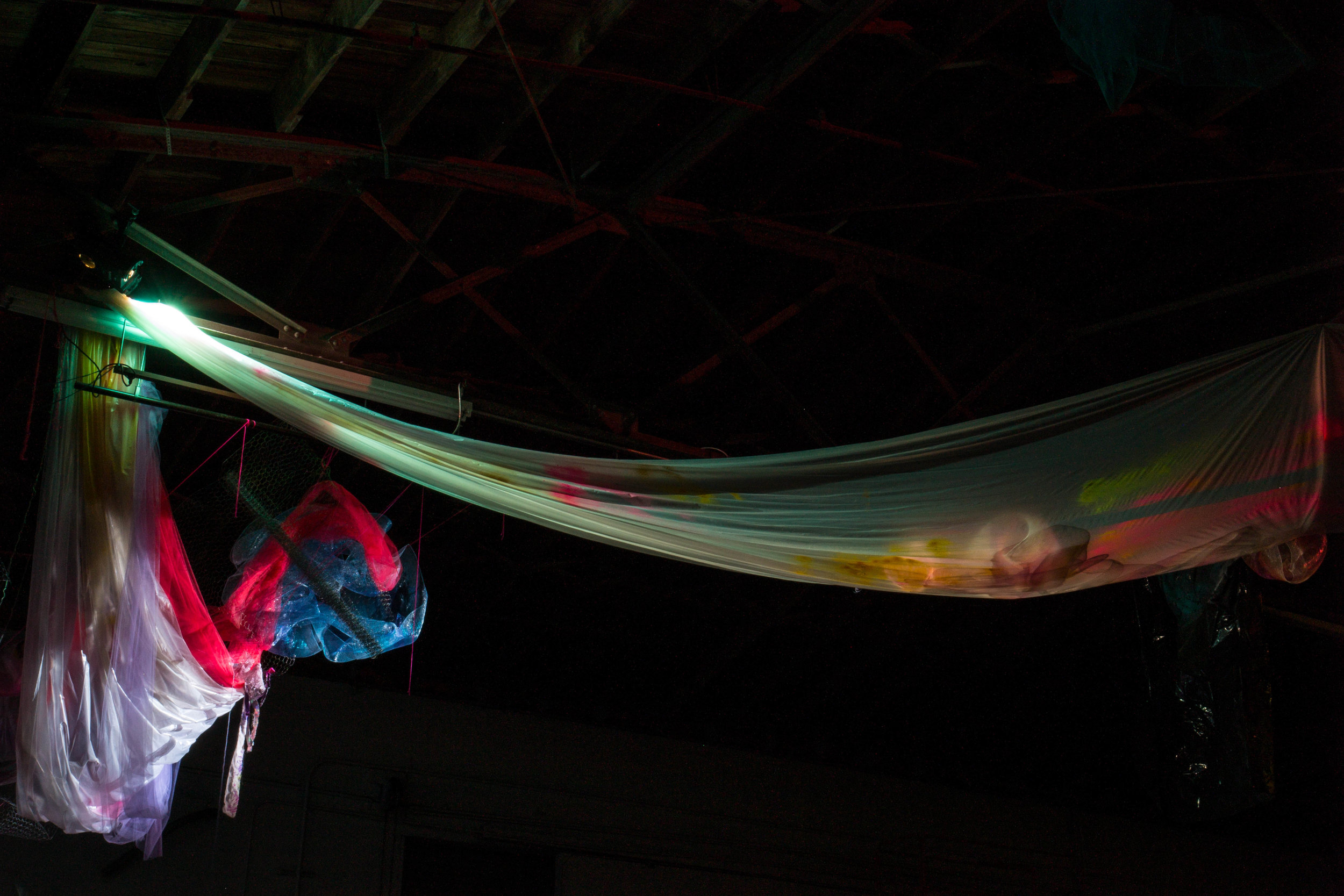 Photo Credit Lauren Lightbody_-491.jpg