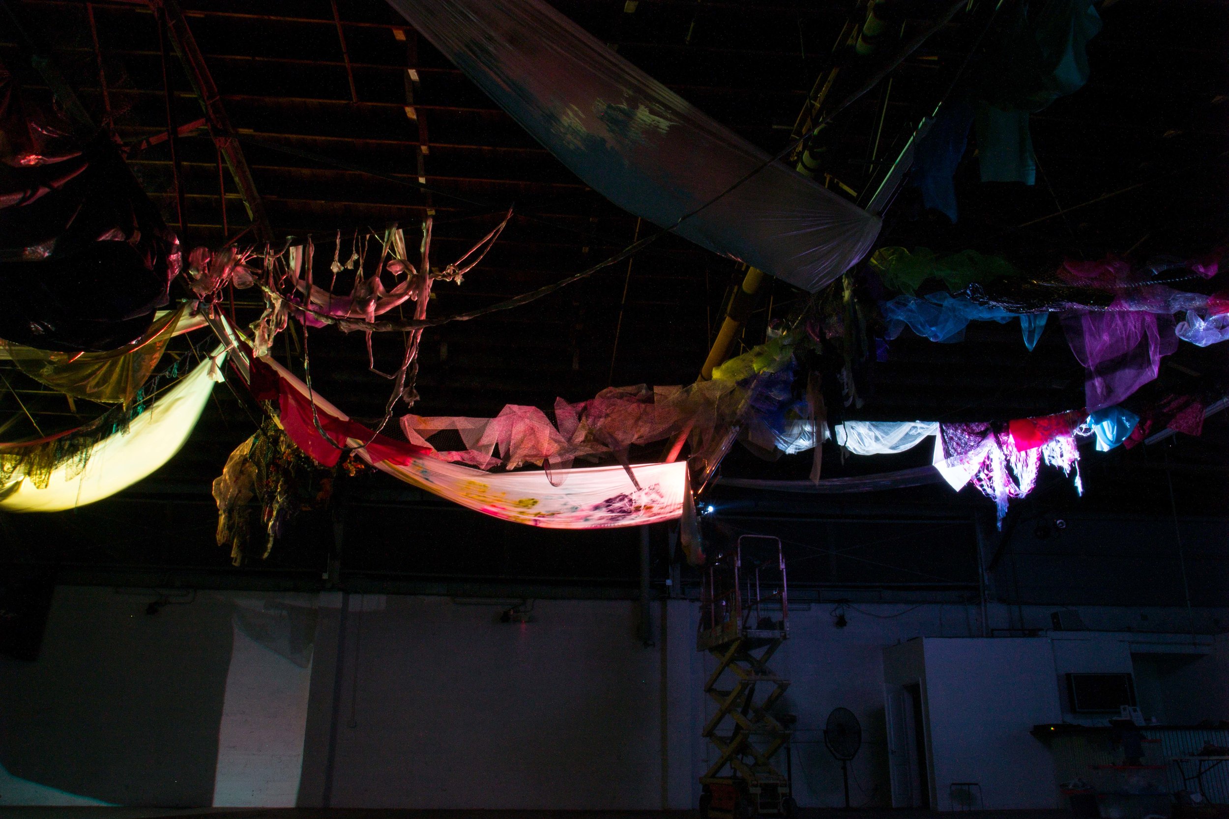 Photo Credit Lauren Lightbody_-493.jpg