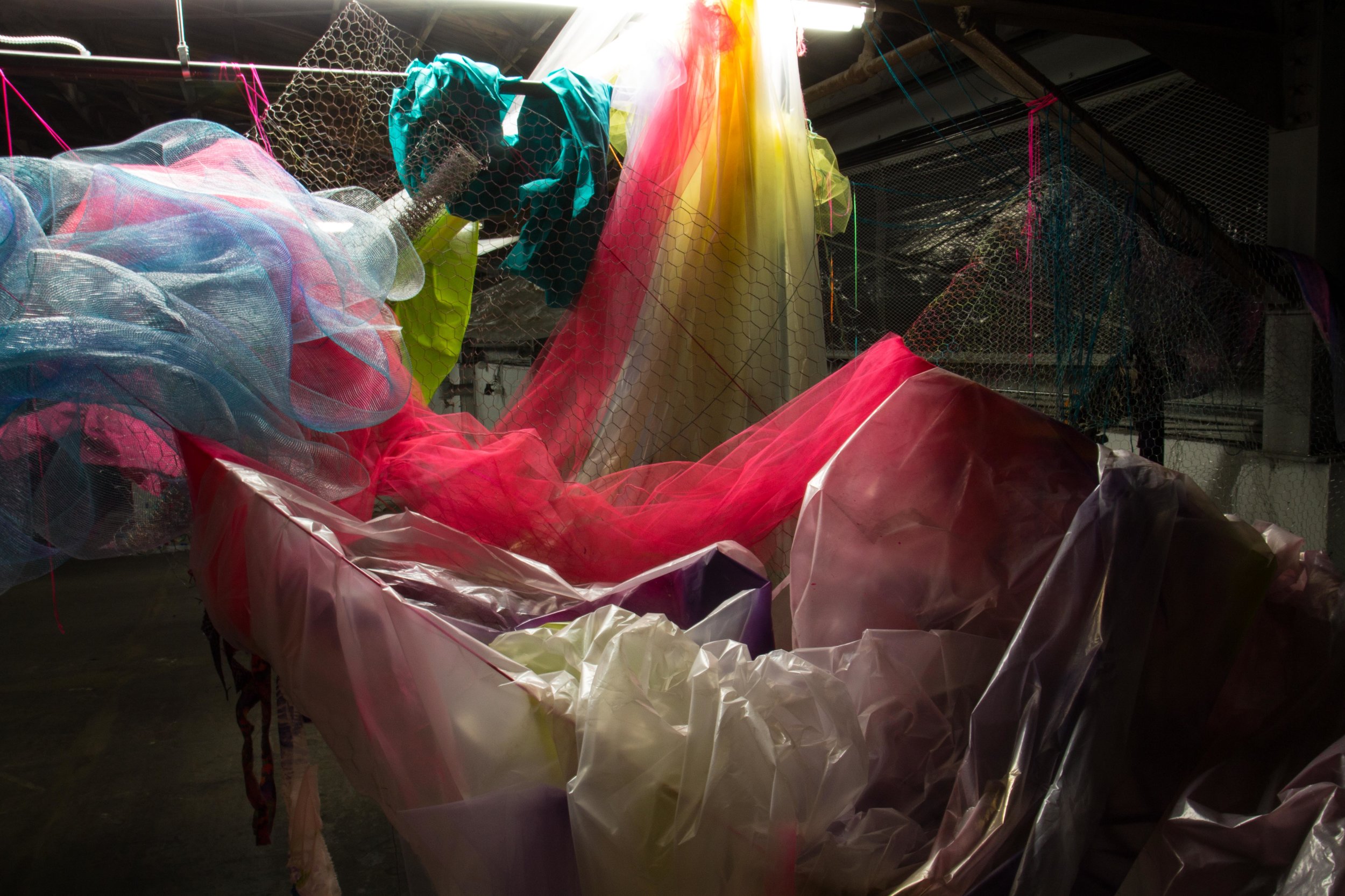 Photo Credit Lauren Lightbody_-496.jpg