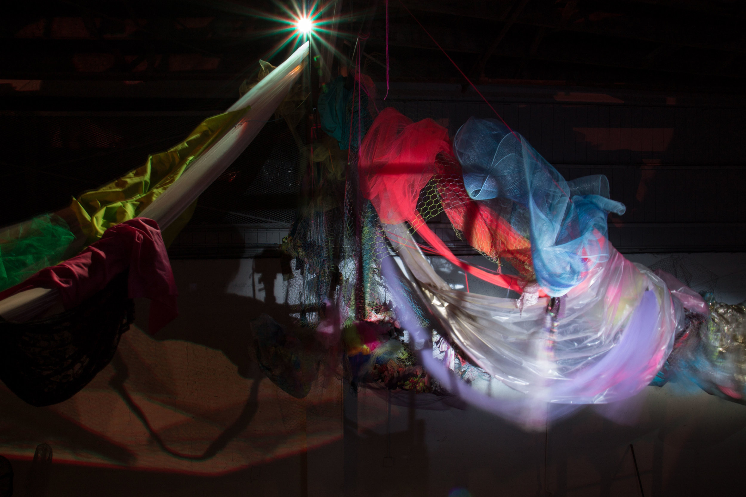 Photo Credit Lauren Lightbody_-497.jpg