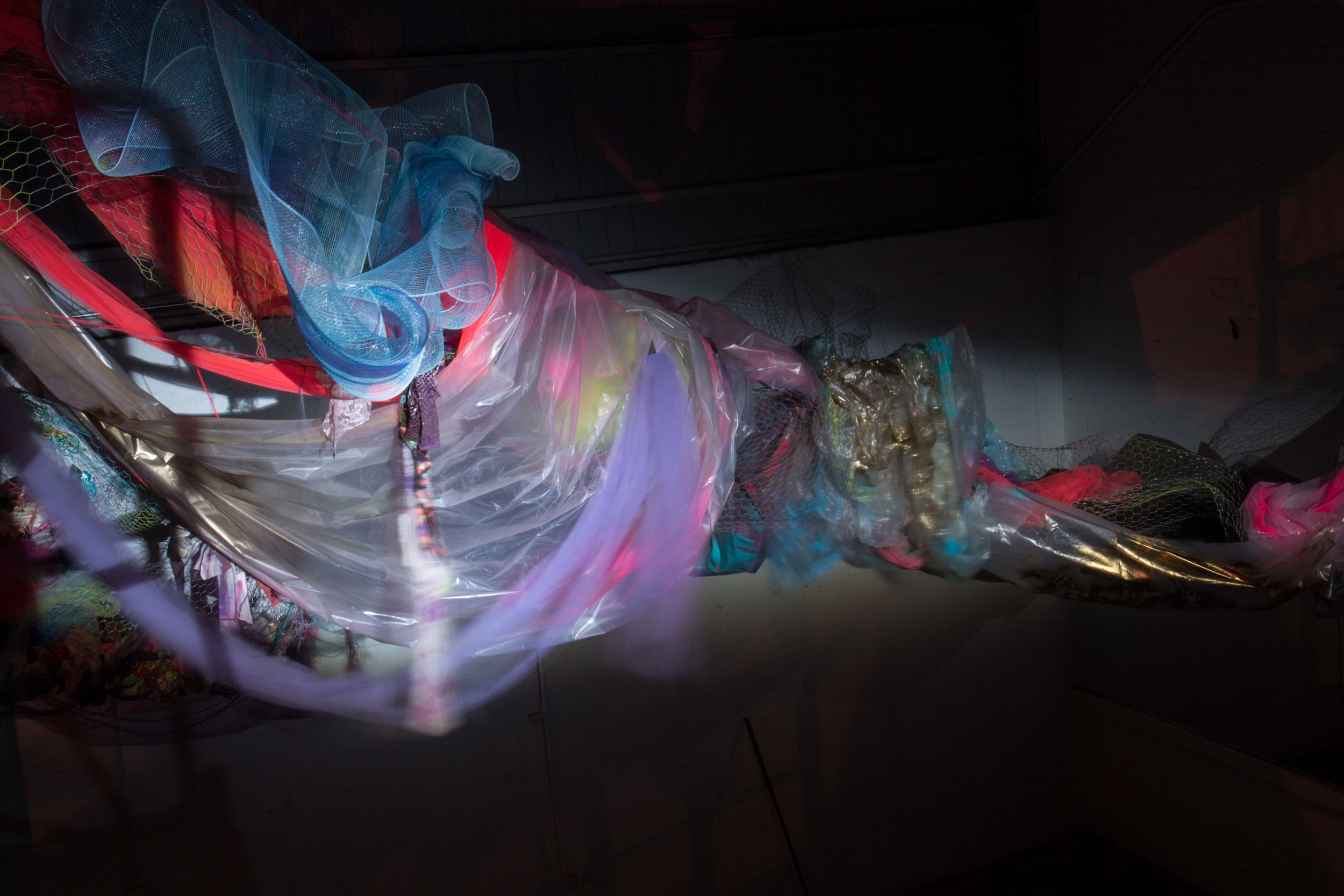 Photo Credit Lauren Lightbody_-498.jpg