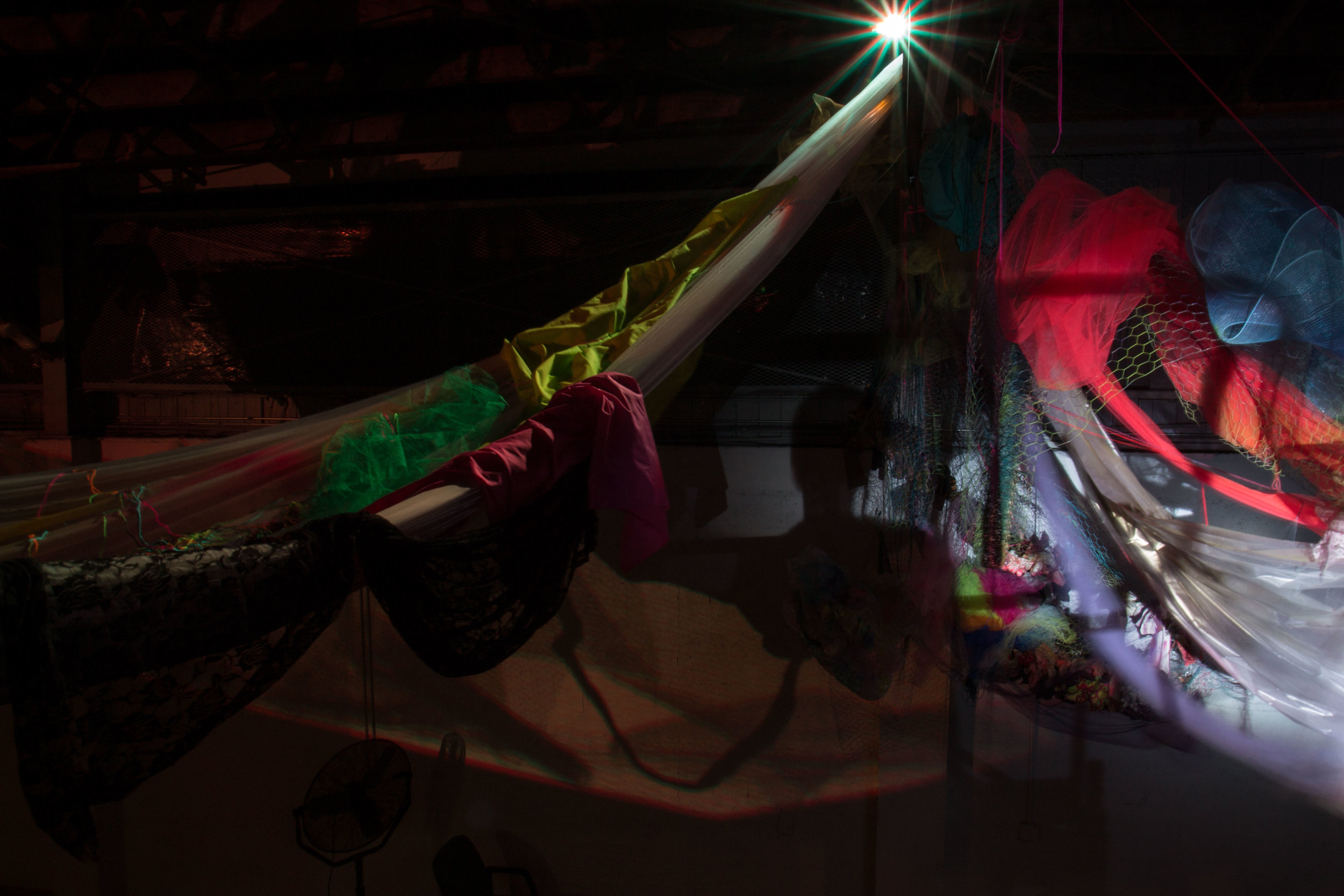 Photo Credit Lauren Lightbody_-499.jpg