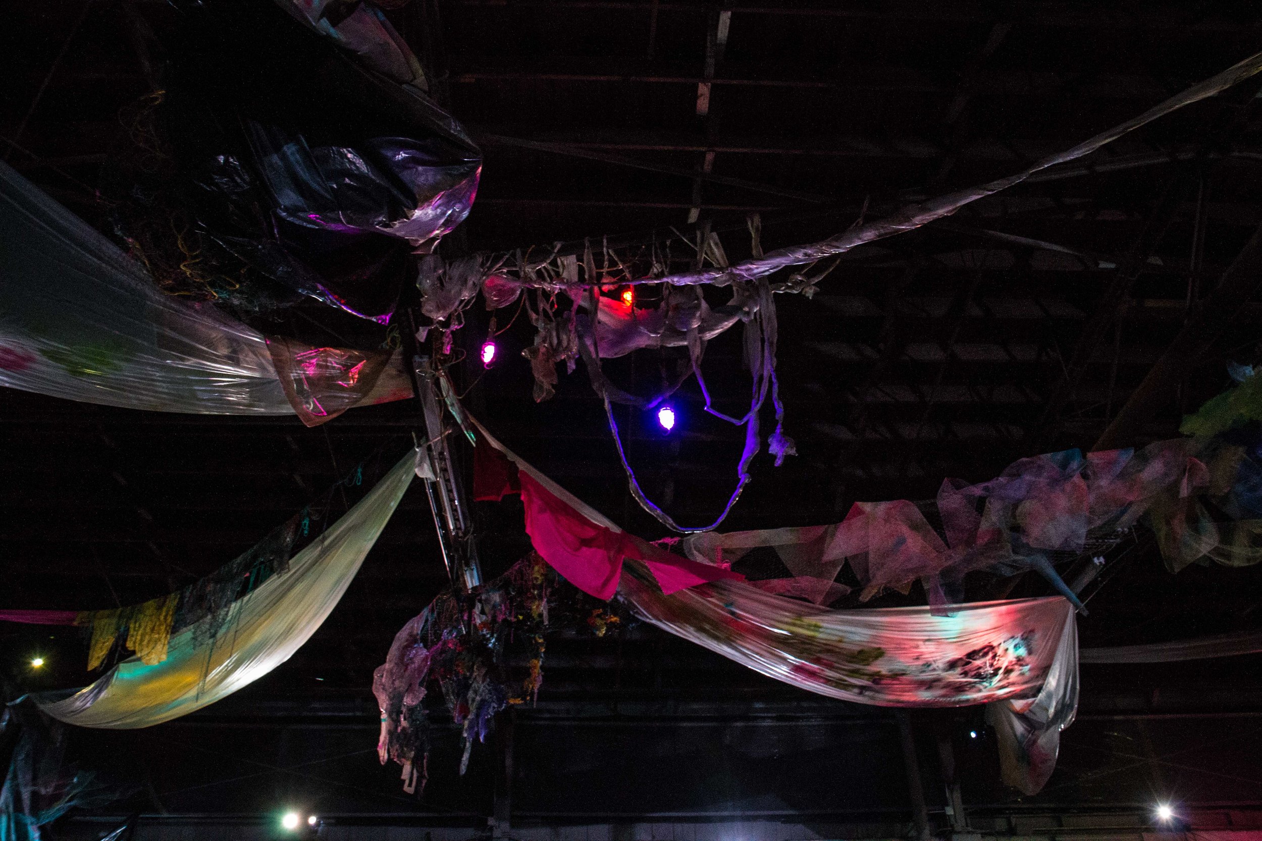 Photo Credit Lauren Lightbody_-509.jpg