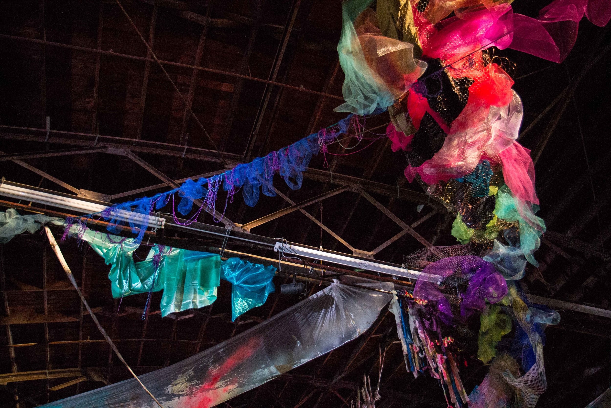 Photo Credit Lauren Lightbody_-514.jpg