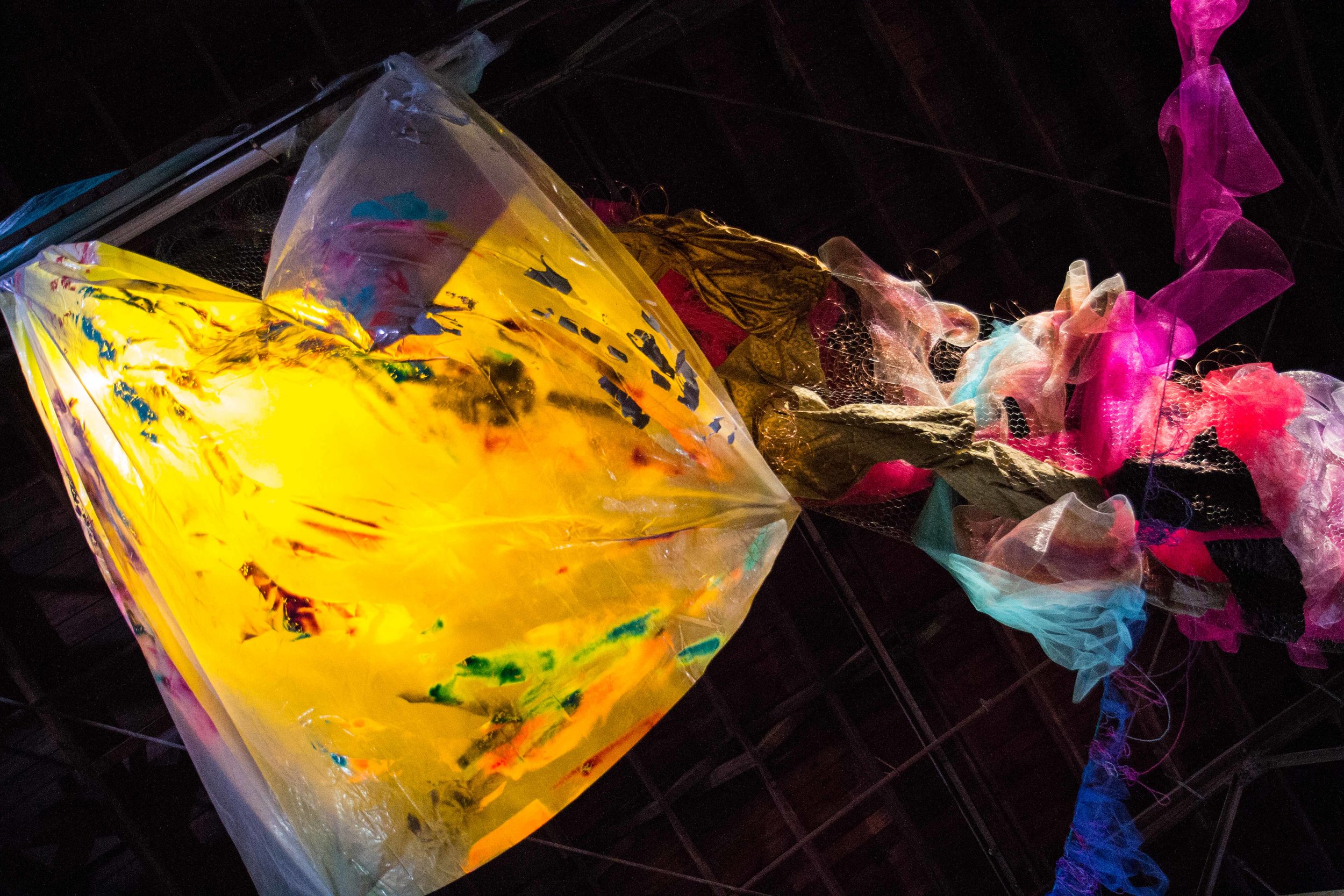 Photo Credit Lauren Lightbody_-515.jpg