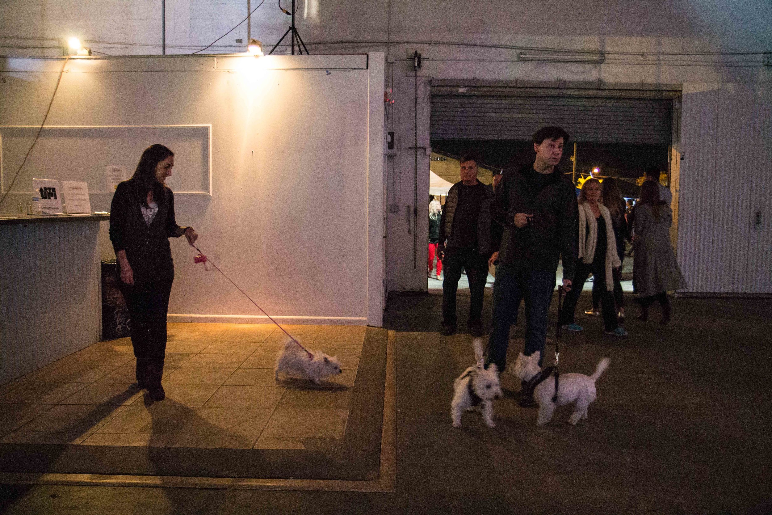 Photo Credit Lauren Lightbody_-532.jpg