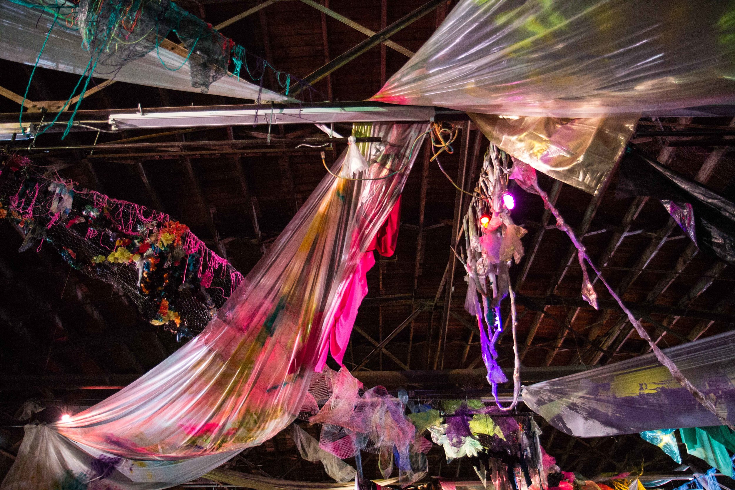 Photo Credit Lauren Lightbody_-539.jpg