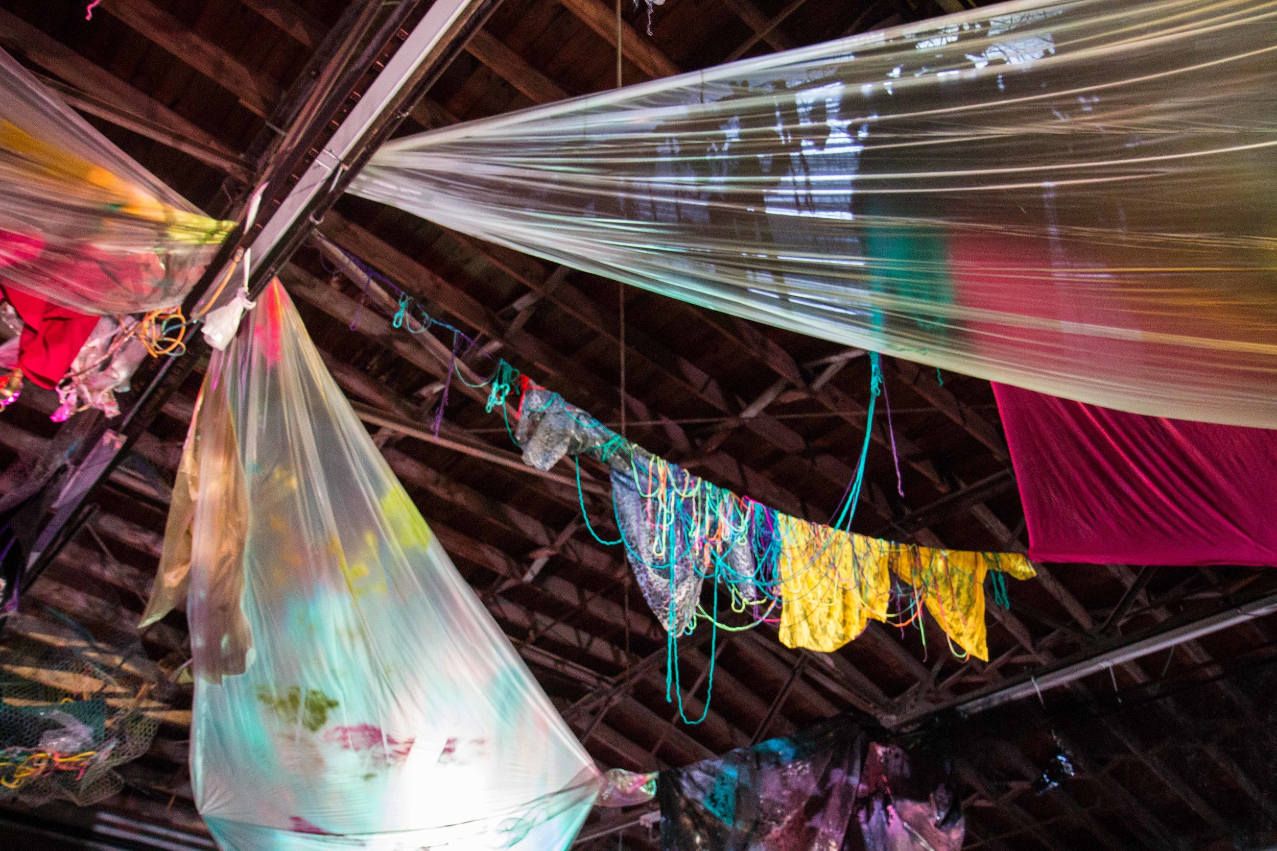 Photo Credit Lauren Lightbody_-551.jpg